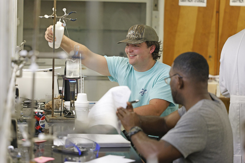 Students working on hands-on chemistry lab assignment