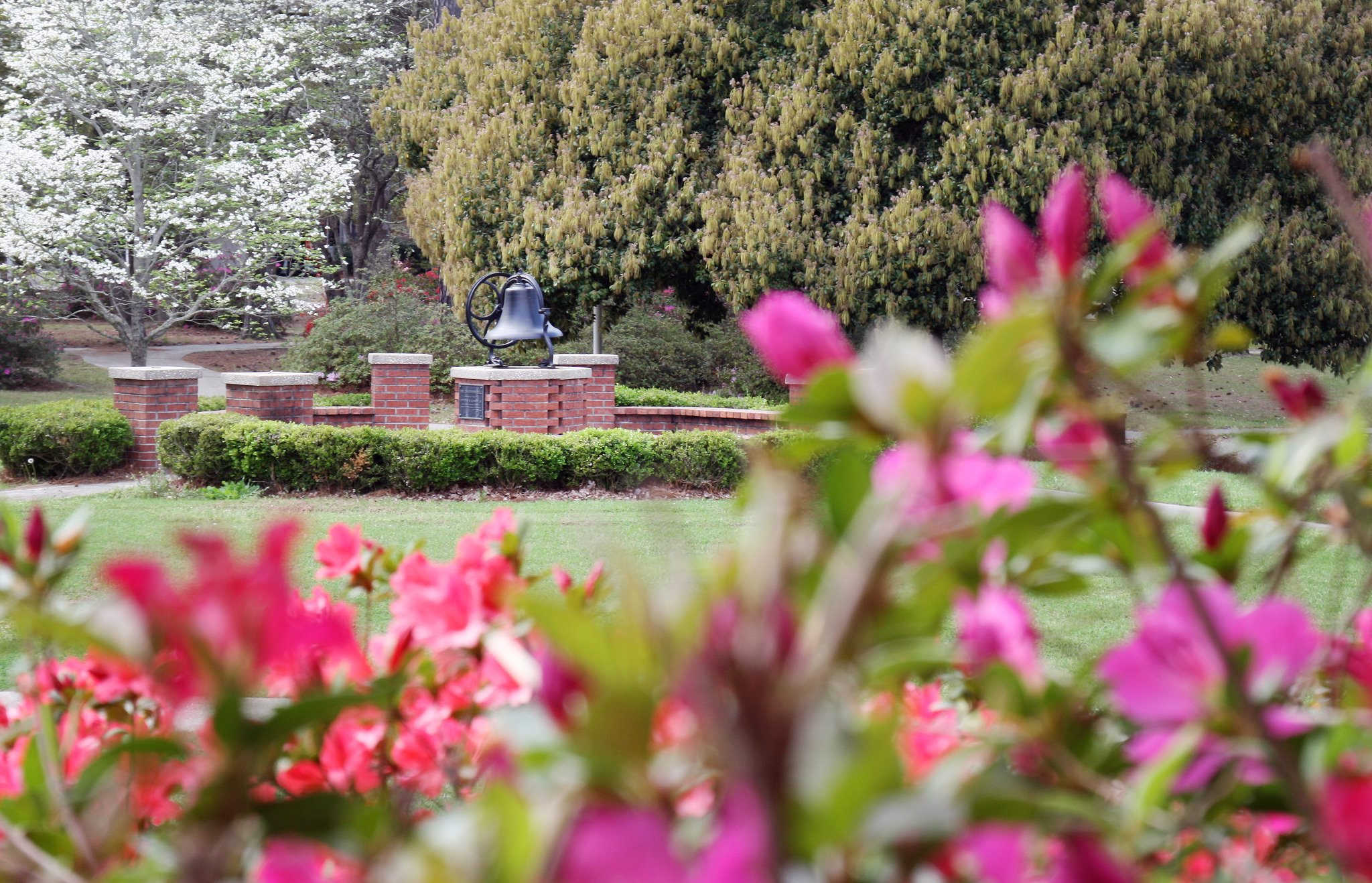 SCC Campus Bell