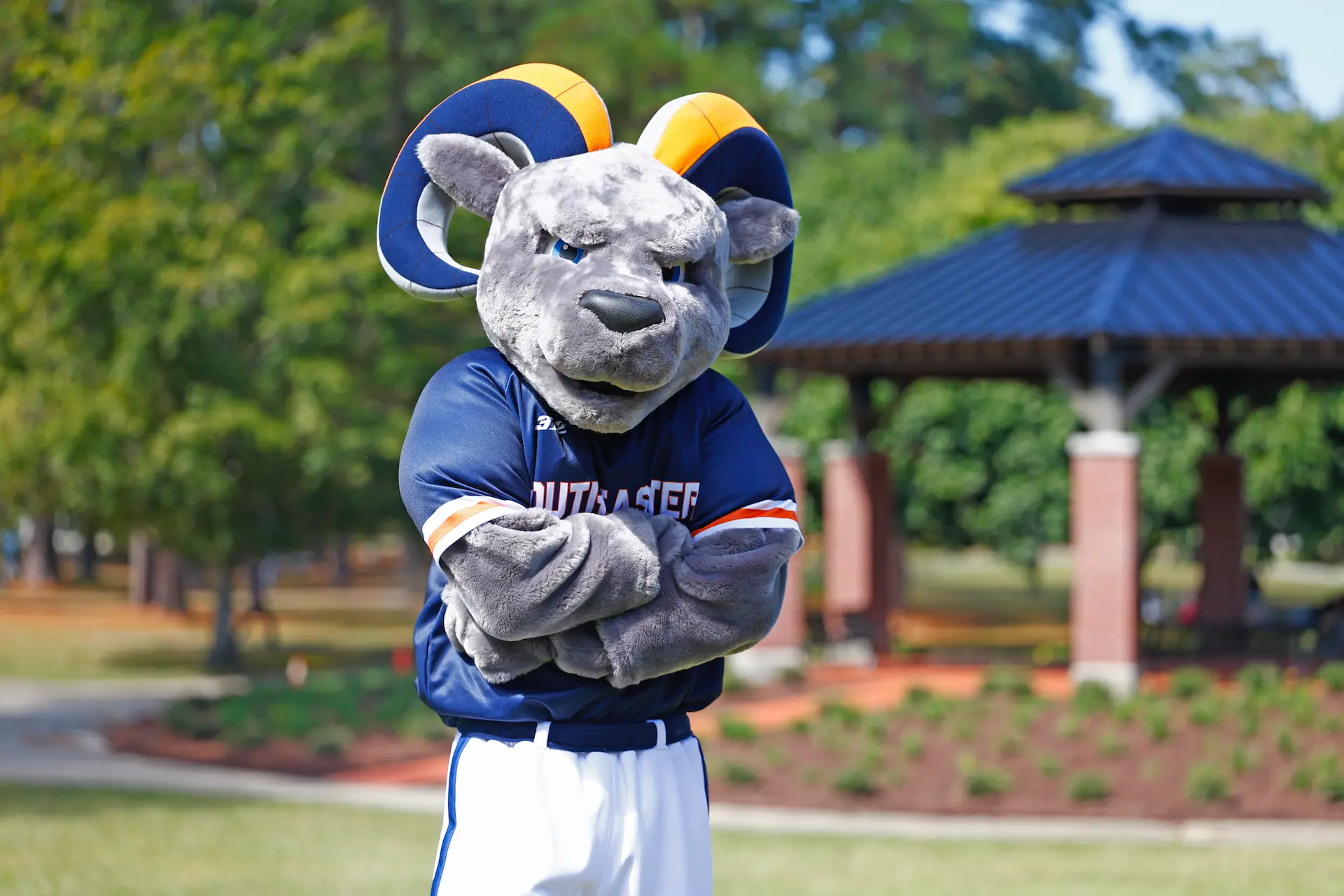SCC Mascot