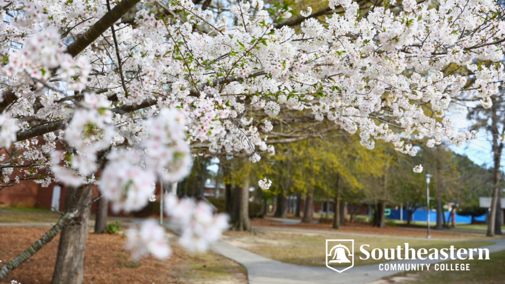 Virtual Background SCC Campus