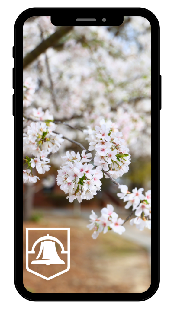 Tree Phone Background